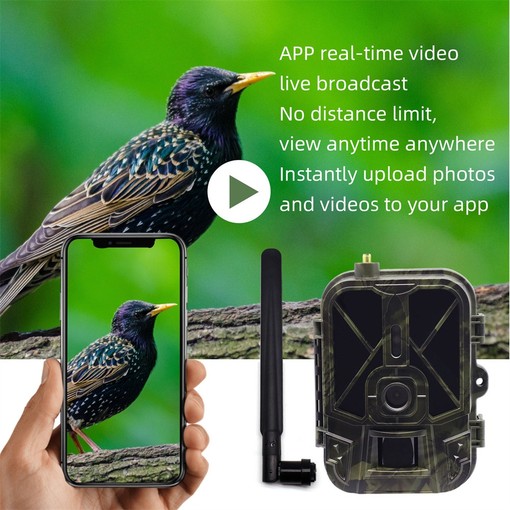 Outdoor 4G 120MP 4K Live Show  - Hunting Outdoor Shows avis et prix