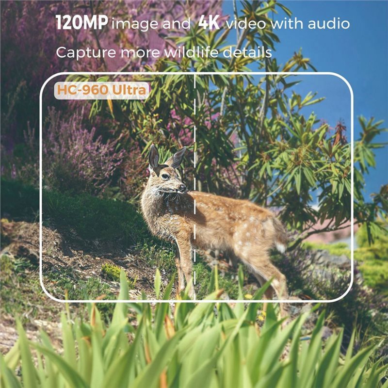 AS95-Outdoor 4G 120MP 4K Live  - Hunting Outdoor Shows avis et prix
