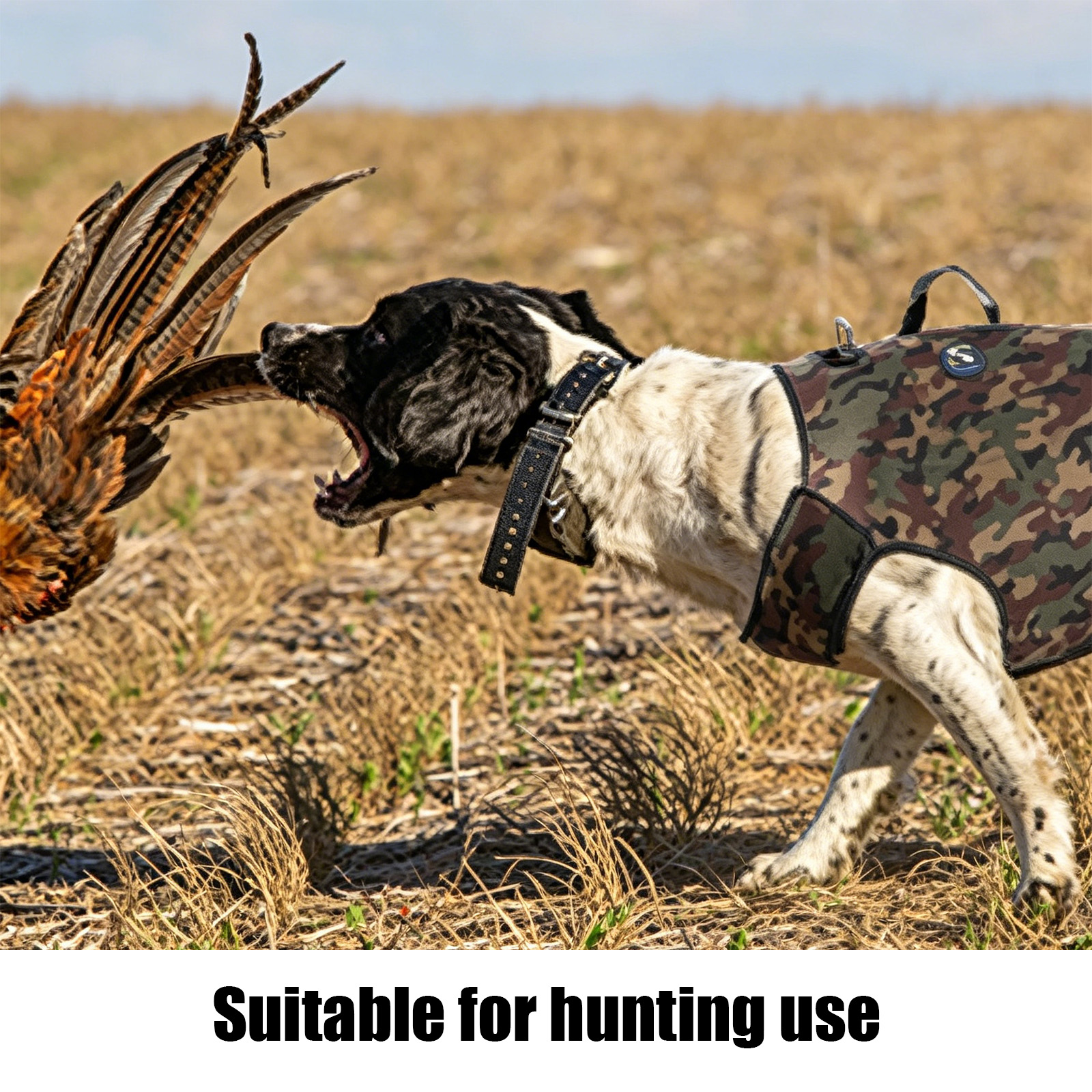 Camouflage Hunting Dog Clothes - Outdoor Hunting Dogs avis et prix