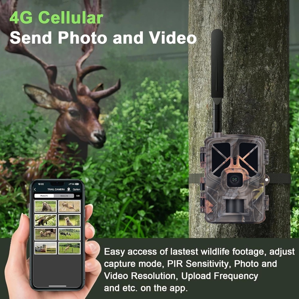 Outdoor 4G 30MP 2K Live Show W - Hunting Outdoor Shows avis et prix