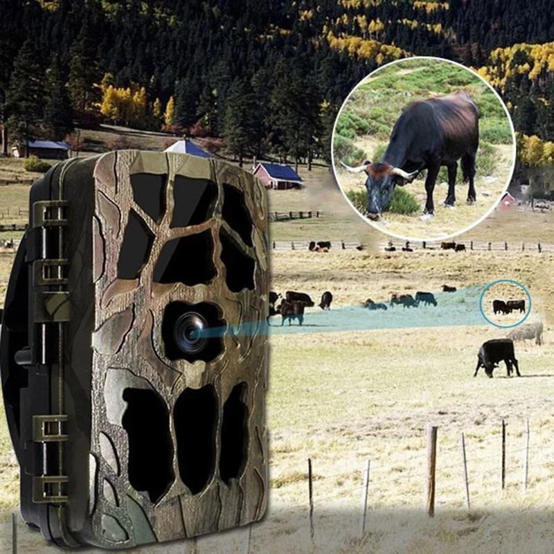 H982 IP66 Waterproof 4K Outdoo - Outdoor Hunting Images avis et prix