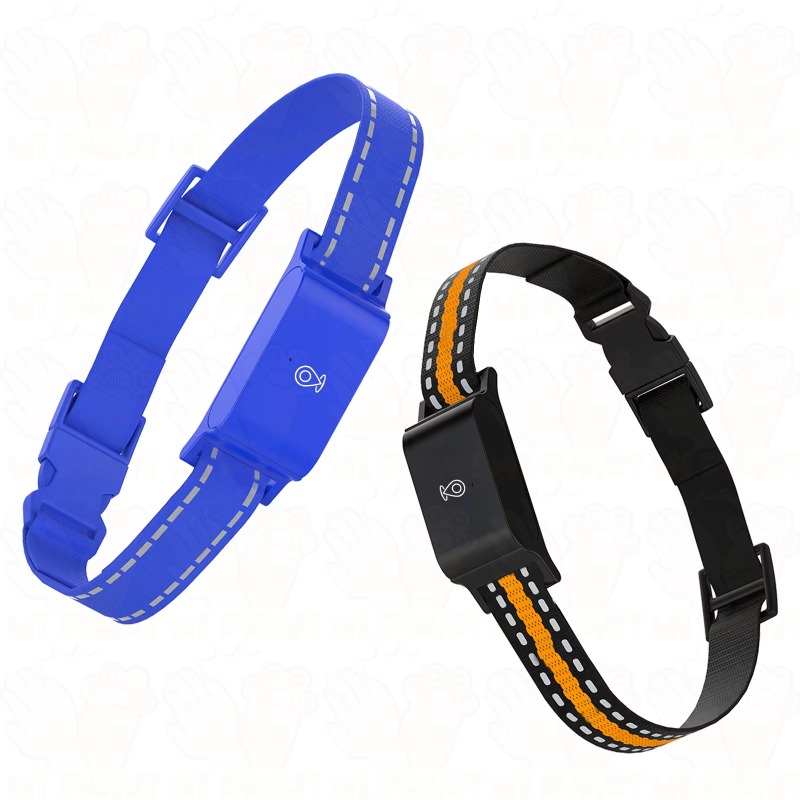 Dog GPS Tracker Outdoor Campin - Outdoor Hunting Dogs avis et prix