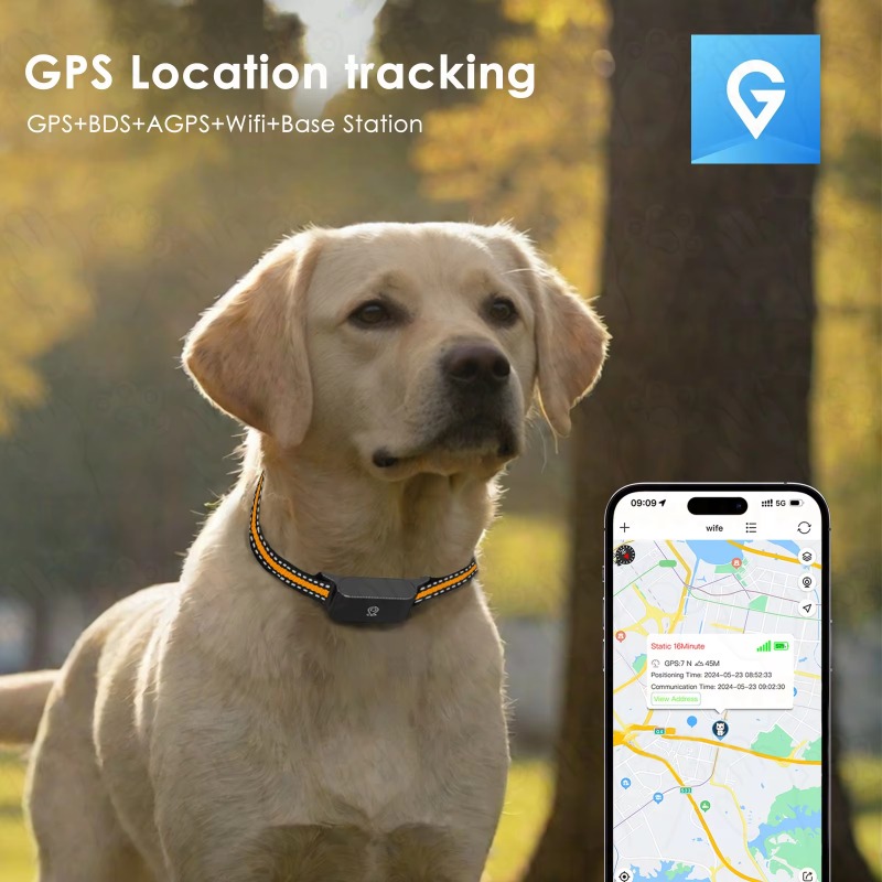 Dog GPS Tracker Outdoor Campin - Outdoor Hunting Dogs avis et prix