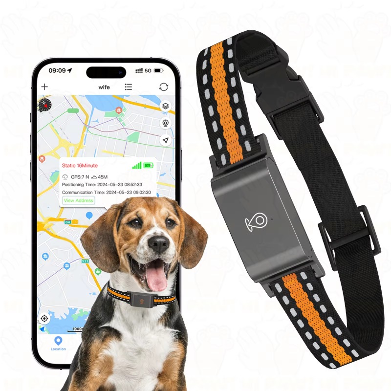 Dog GPS Tracker Outdoor Campin - Outdoor Hunting Dogs avis et prix